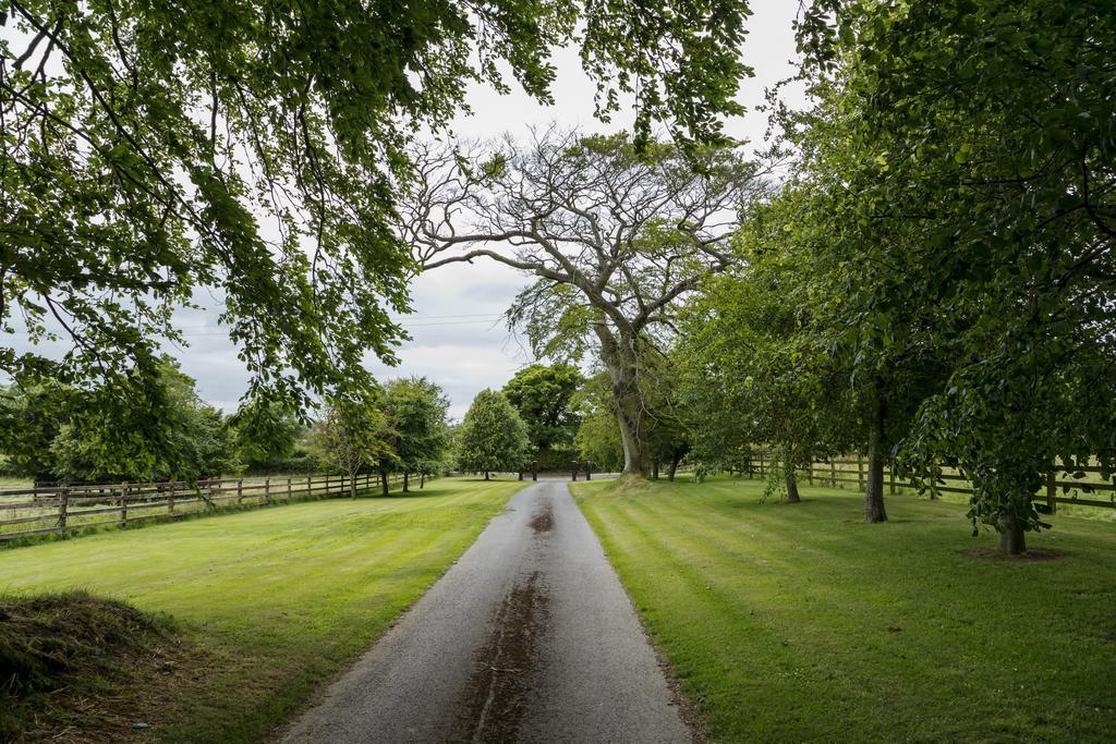 College Hill House Panzió Slane Kültér fotó