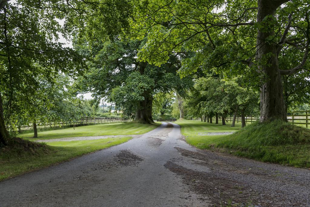 College Hill House Panzió Slane Kültér fotó